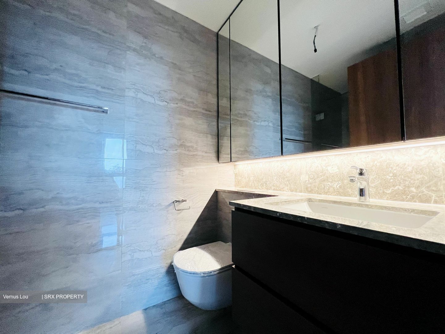 Fourth Avenue Residences (D10), Apartment #390511181